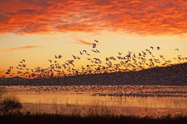 Kumana National Park – Sri Lanka’s Birdwatching Paradise