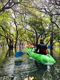 Kayaking Through Trees at Kantale Lake - Photo 3