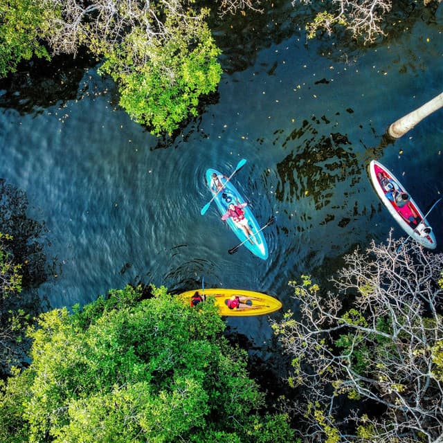 Kayaking Through Trees at Kantale Lake - Photo 2